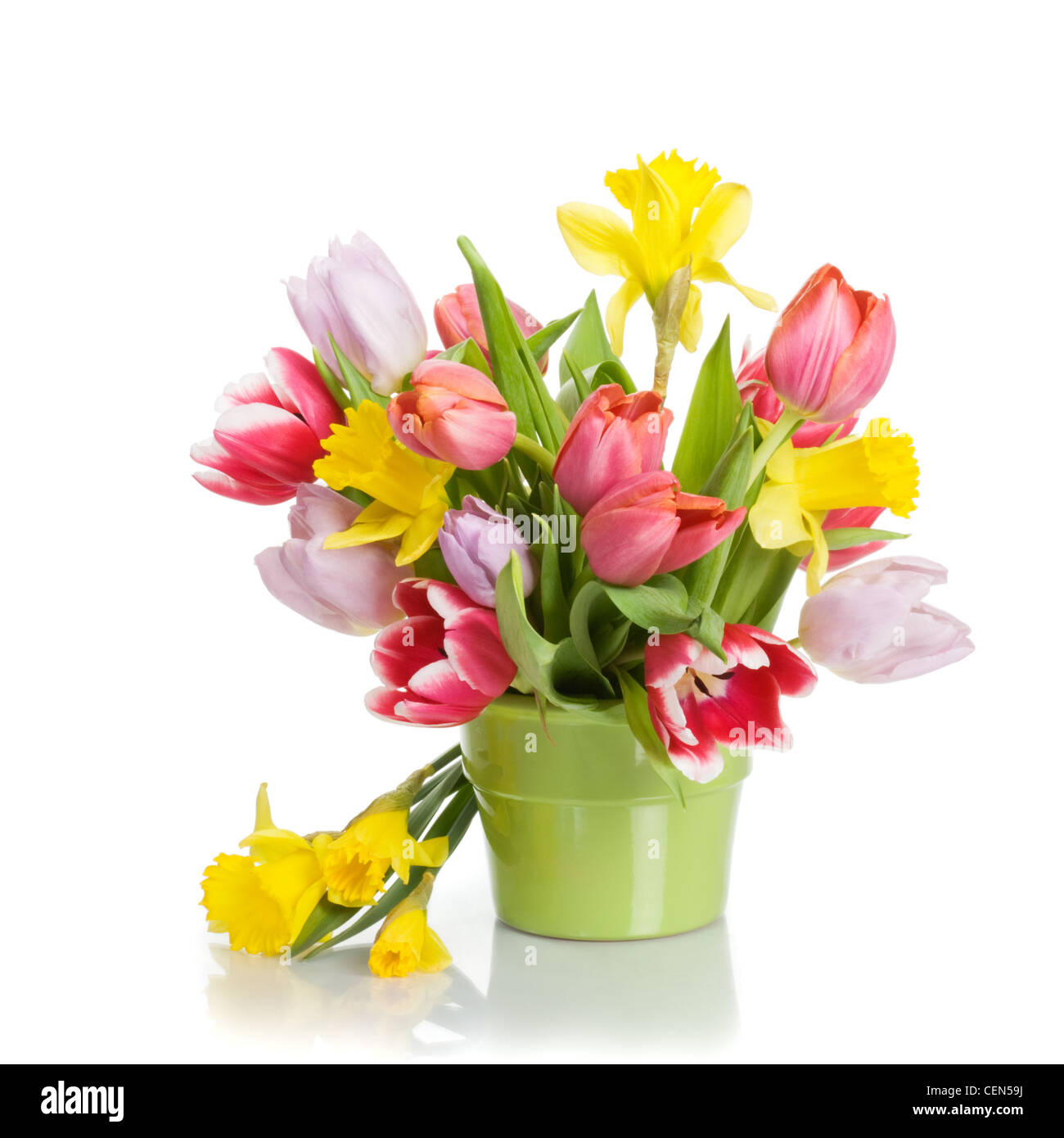 Pot de fleurs avec des tulipes et des jonquilles sur fond blanc Banque D'Images