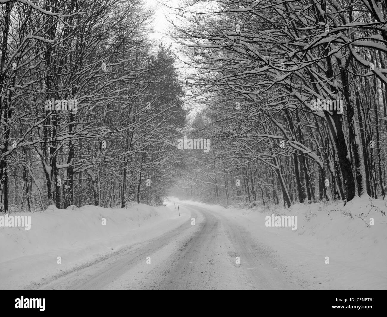 Route à travers forêt pleine de neige Banque D'Images