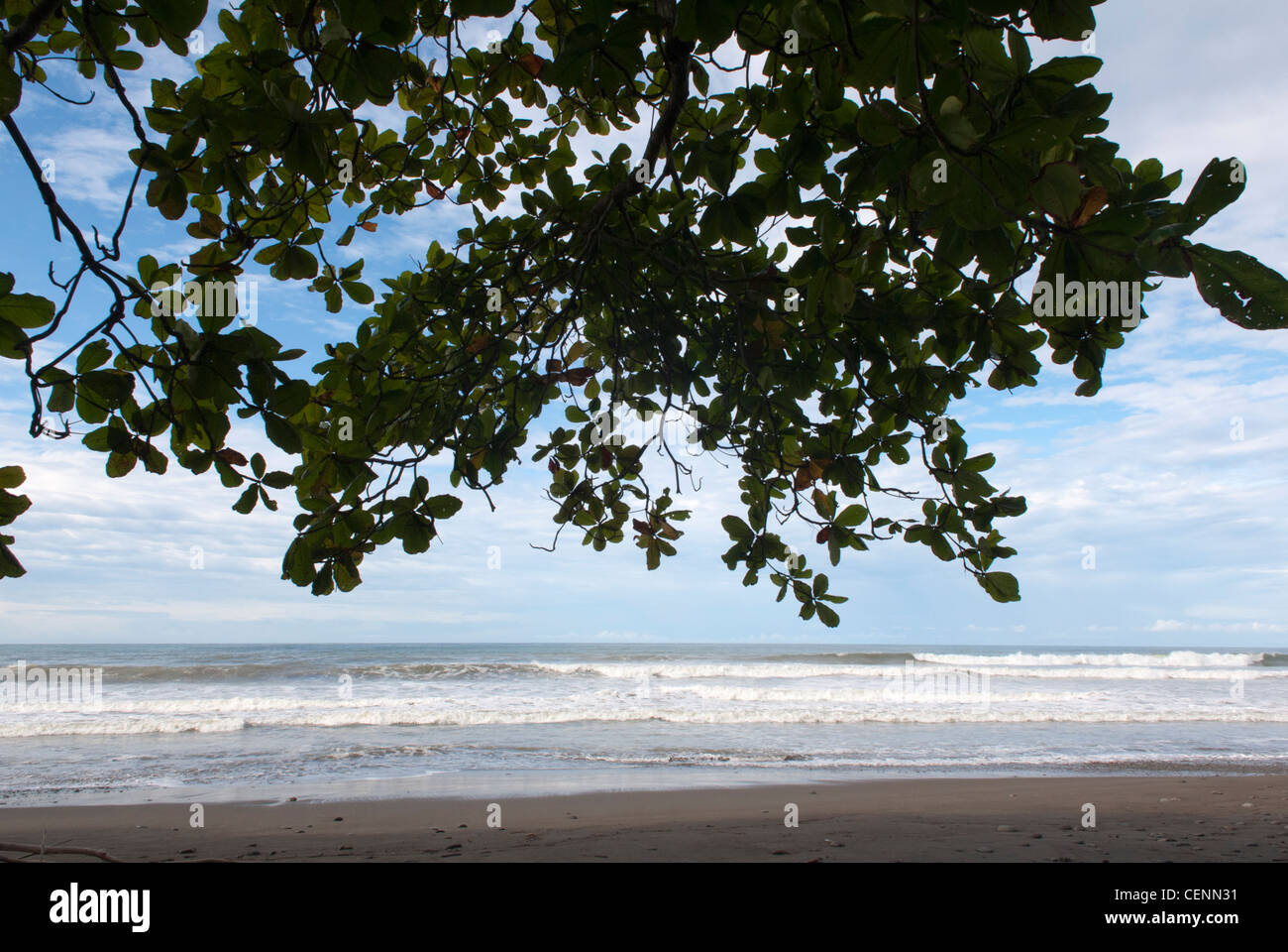 Baru Beach, la côte du Pacifique, le Costa Rica. Banque D'Images