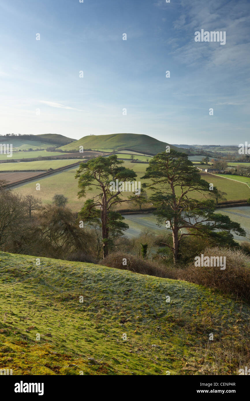 Avis de Cadbury Castle vers Parrock Hill. Le Somerset. L'Angleterre. UK. Banque D'Images