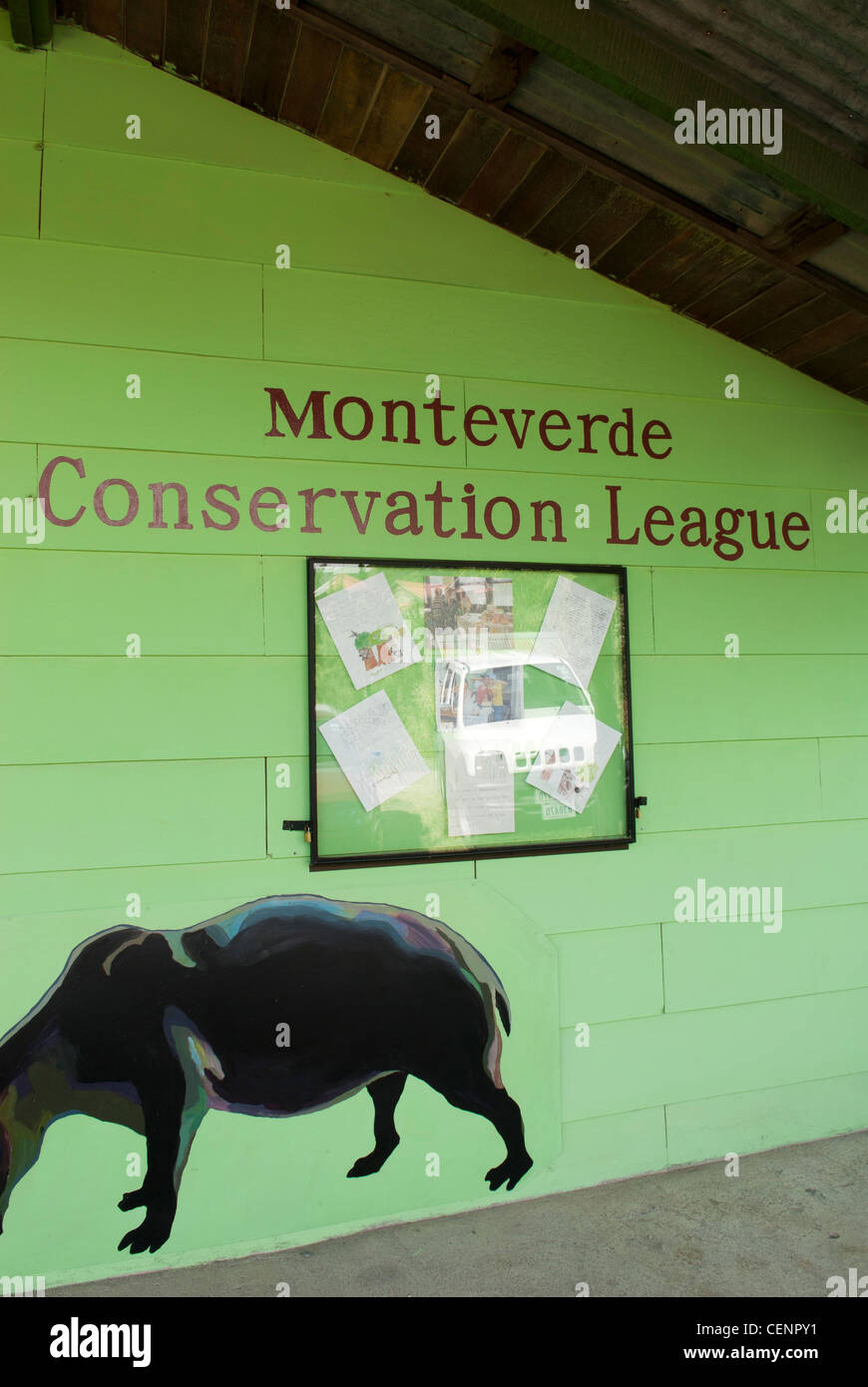 Ligue de conservation de Monteverde au Children's Rainforest éternelle, Monteverde, Costa Rica. Banque D'Images