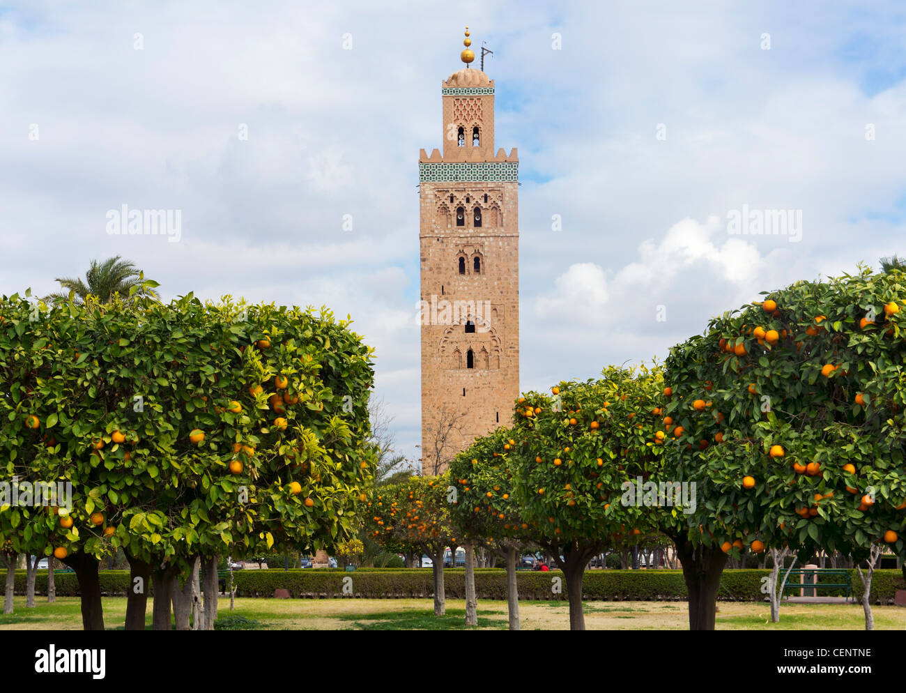 Le minaret de la Koutoubia la Koutoubia, les jardins de Marrakech, Maroc, Afrique du Nord Banque D'Images