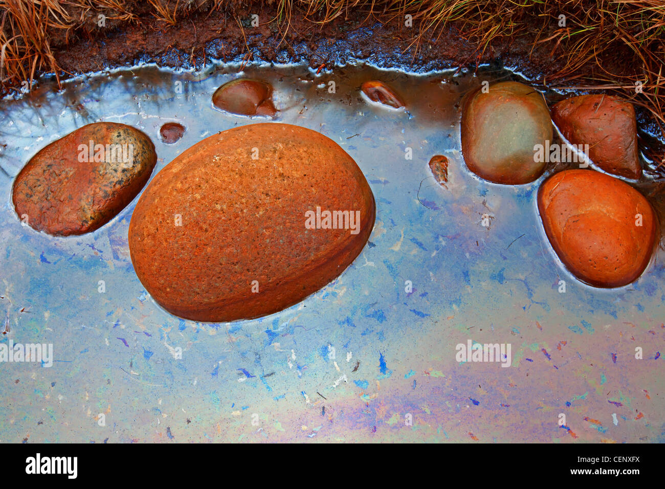 Image colorée de pailles et des pierres à Moelen, Norvège Banque D'Images