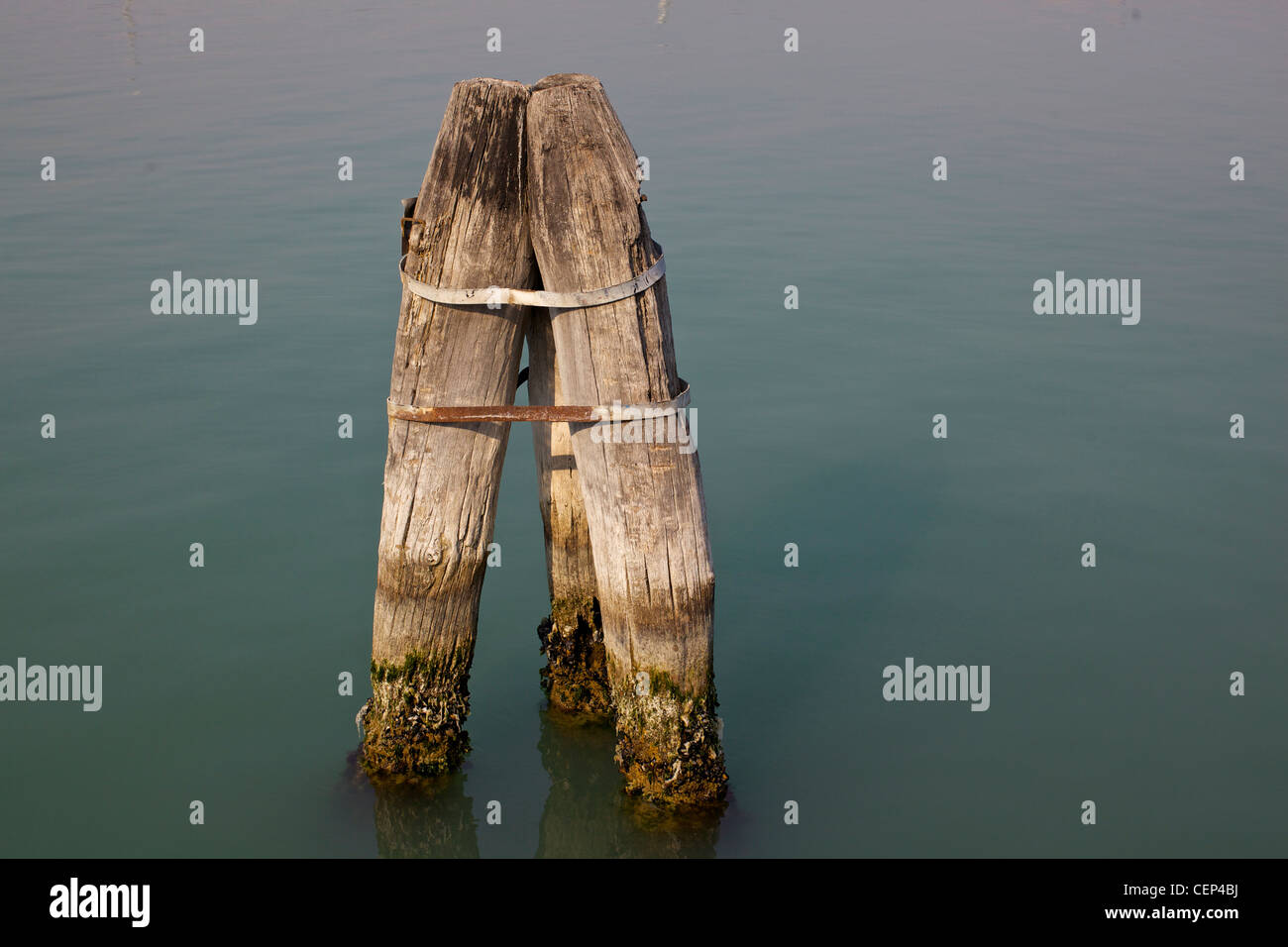 Le briccole, poteaux de bois de chêne européen utilisé pour marquer le satellite de navigation dans la lagune de Venise Banque D'Images