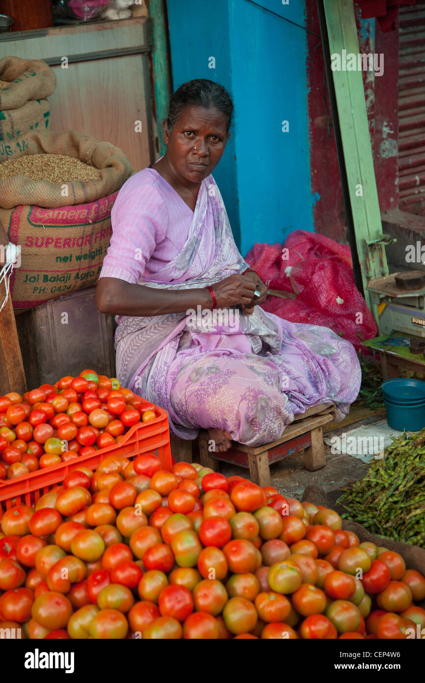 Femme vendant des tomates au marché Devaraja Banque D'Images