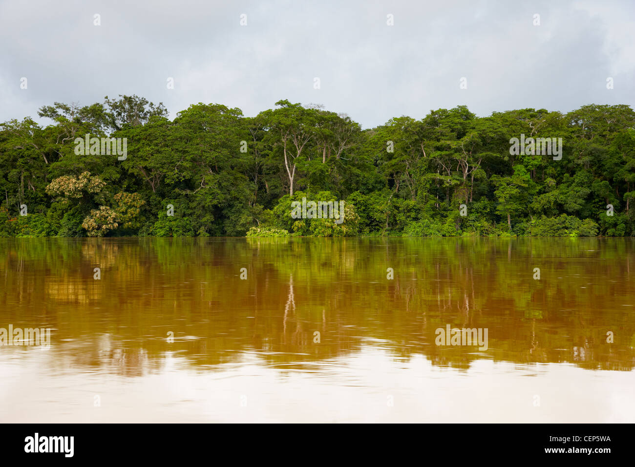 La rivière Sangha, République du Congo, Afrique Banque D'Images