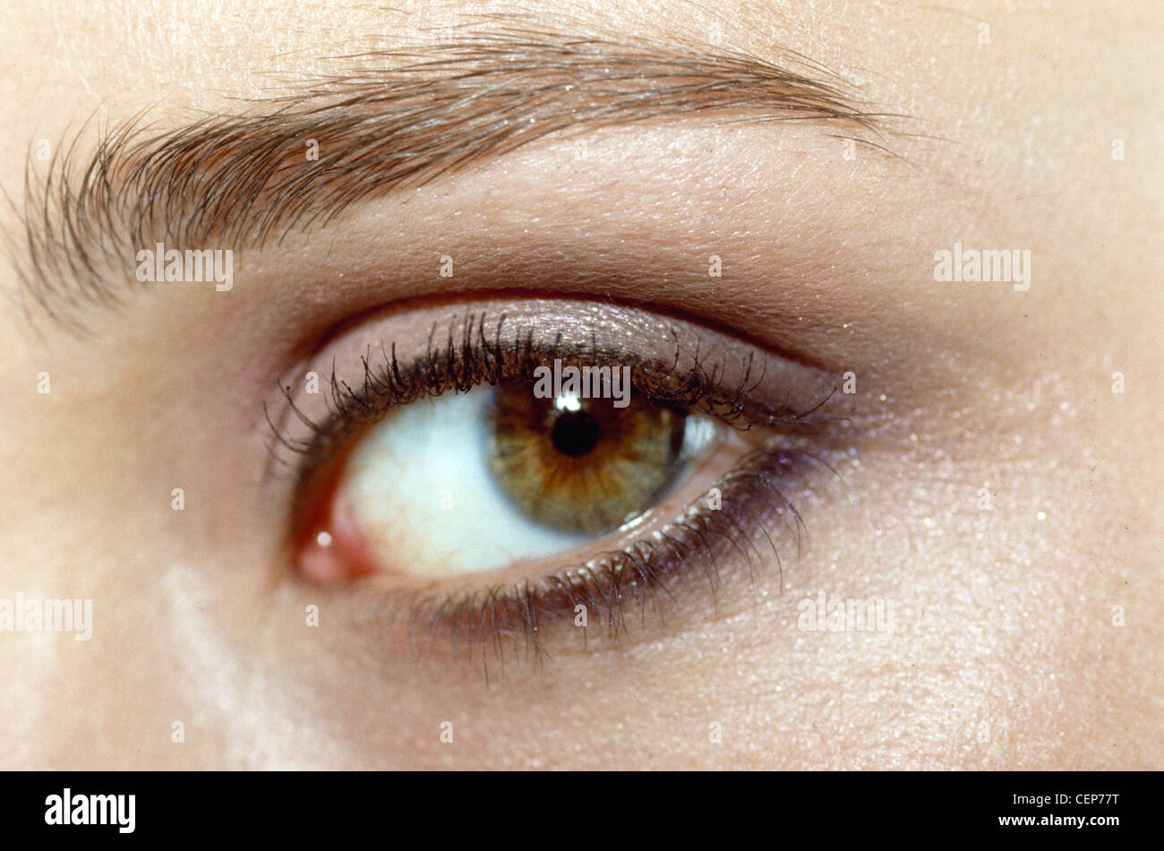 Une des femelles de face, portant l'eyeliner noir gras, pourpre brillant et gris de l'ombre à paupières et mascara noir, à la Banque D'Images