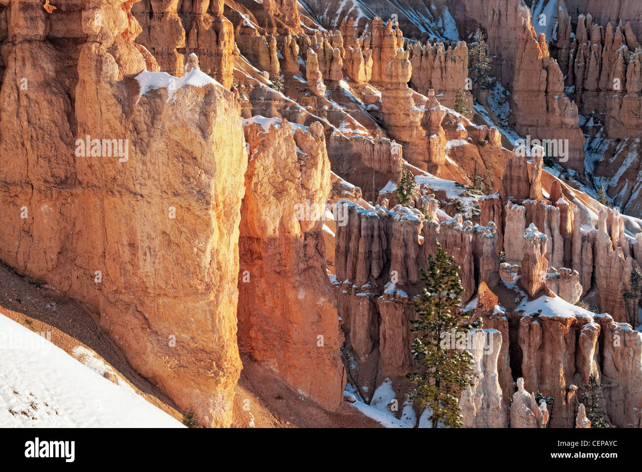 La lumière réfléchissante éclaire les nombreuses cheminées avec des chutes de neige d'automne de Sunset Point dans l'Utah, le Parc National de Bryce Canyon. Banque D'Images