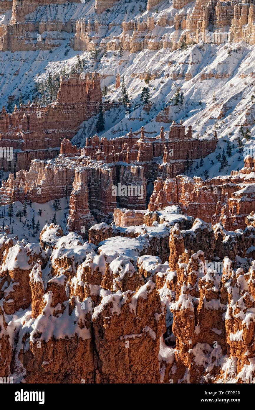 Lumière du matin baigne l'amphithéâtre rempli de neige de cheminées de Sunset Point dans l'Utah, le Parc National de Bryce Canyon. Banque D'Images