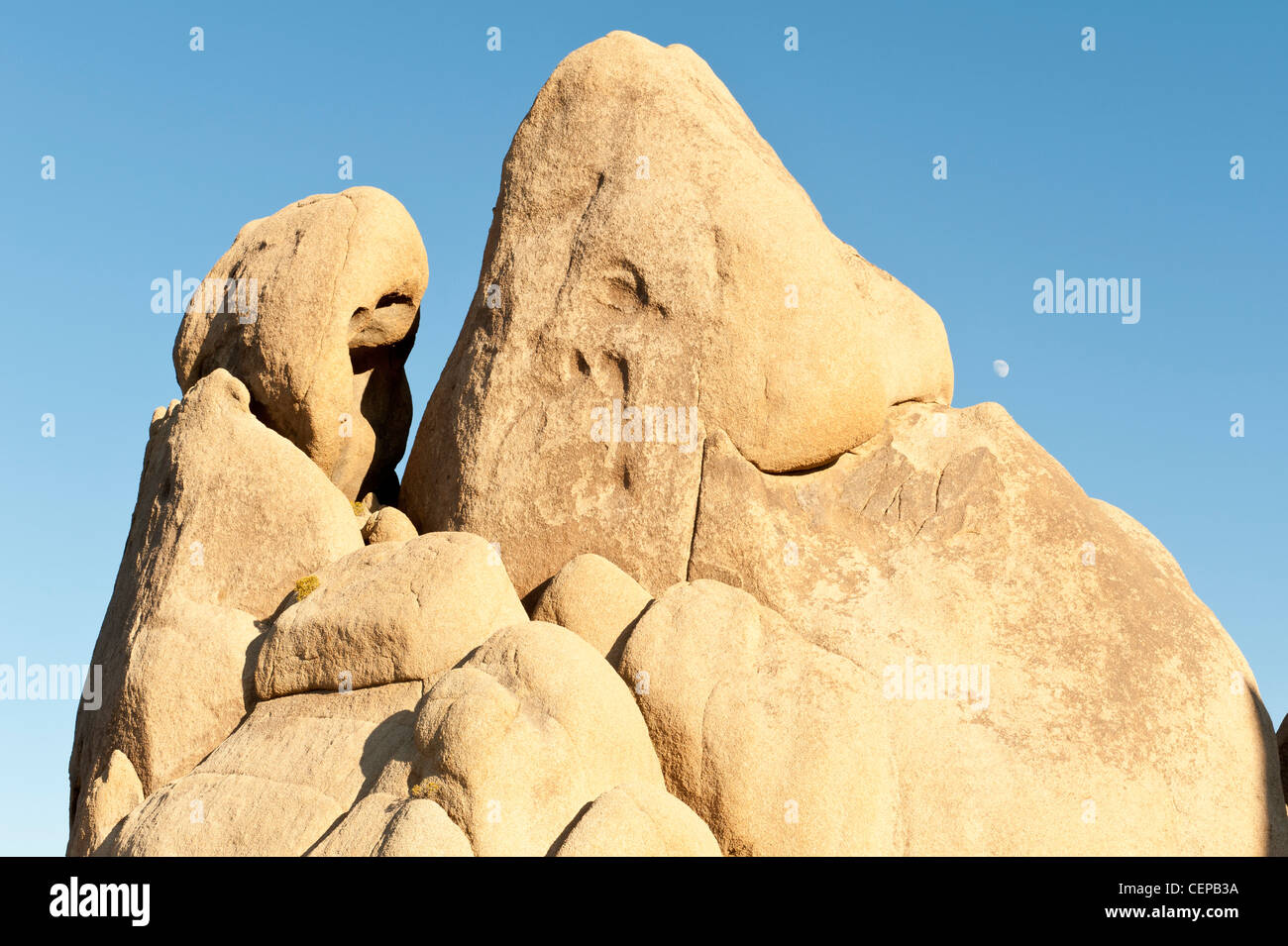 Les roches et lune, Joshua Tree National Park, Californie Banque D'Images