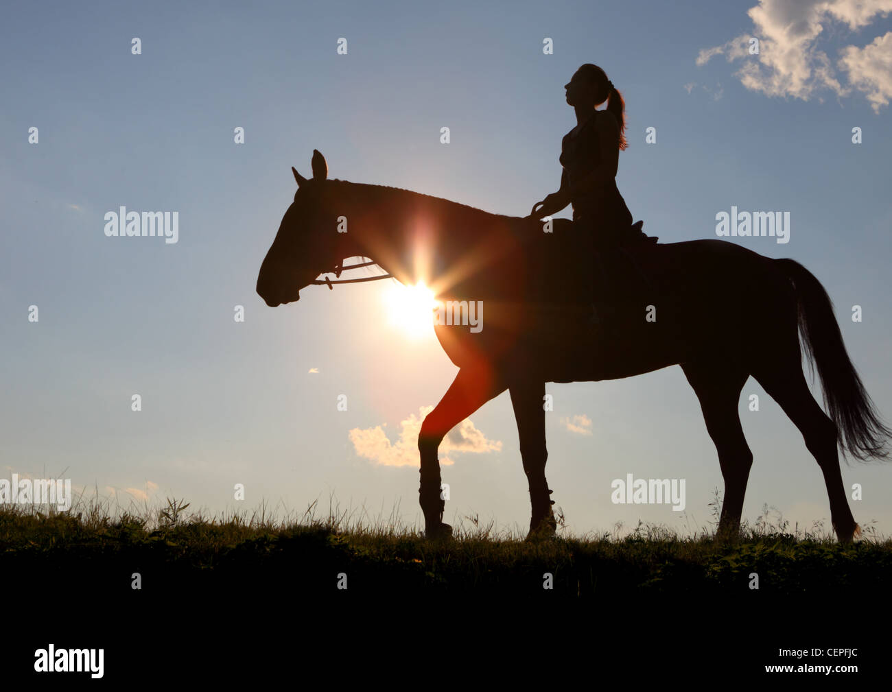 Fille équestre l'équitation au coucher du soleil Banque D'Images