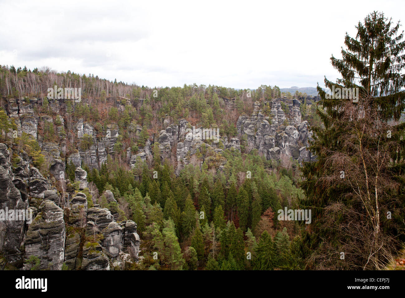 Vue de la Bastei, Bastei-Brücke, formations rocheuses dans les montagnes de grès de l'Elbe en Allemagne Banque D'Images