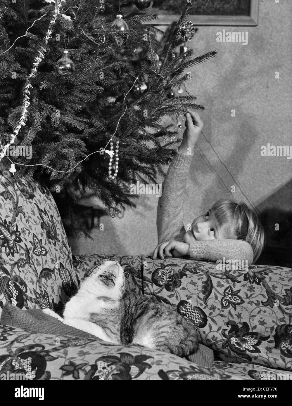 Enfant AFemale et cheveux juste assis derrière le cavalier portant des franges fauteuil atteignant jusqu'à touch décoration d'arbre de Noël Banque D'Images