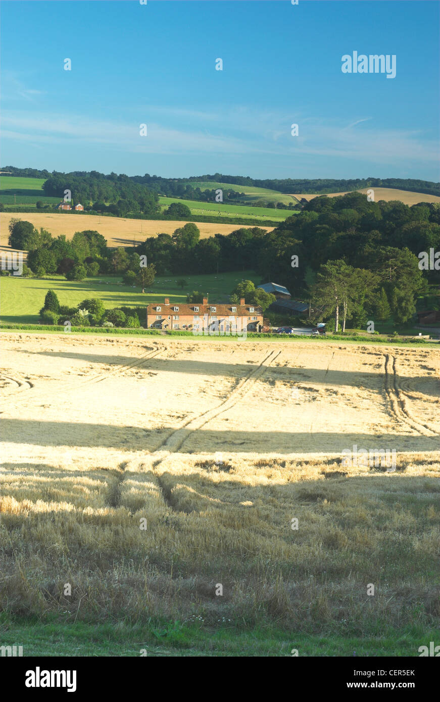 La récolte de blé dans les North Downs, dans le Kent. Banque D'Images