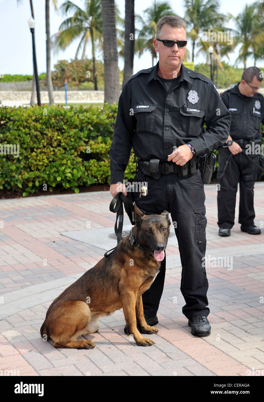 Agent de police et chien, Miami, Floride, USA Banque D'Images
