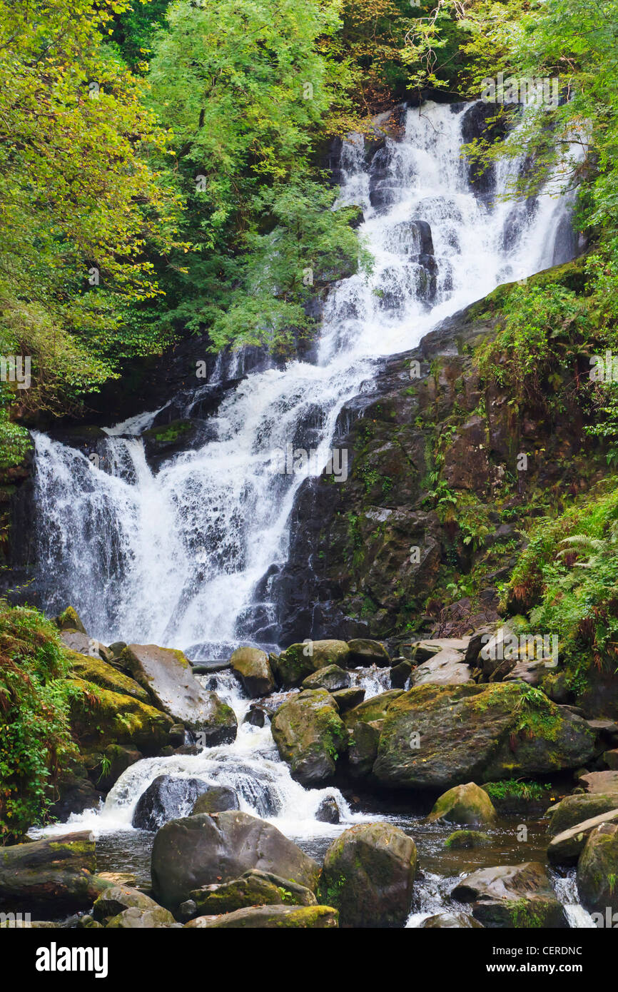 Torc Waterfall dans le Parc National de Killarney, comté de Kerry en Irlande. Banque D'Images