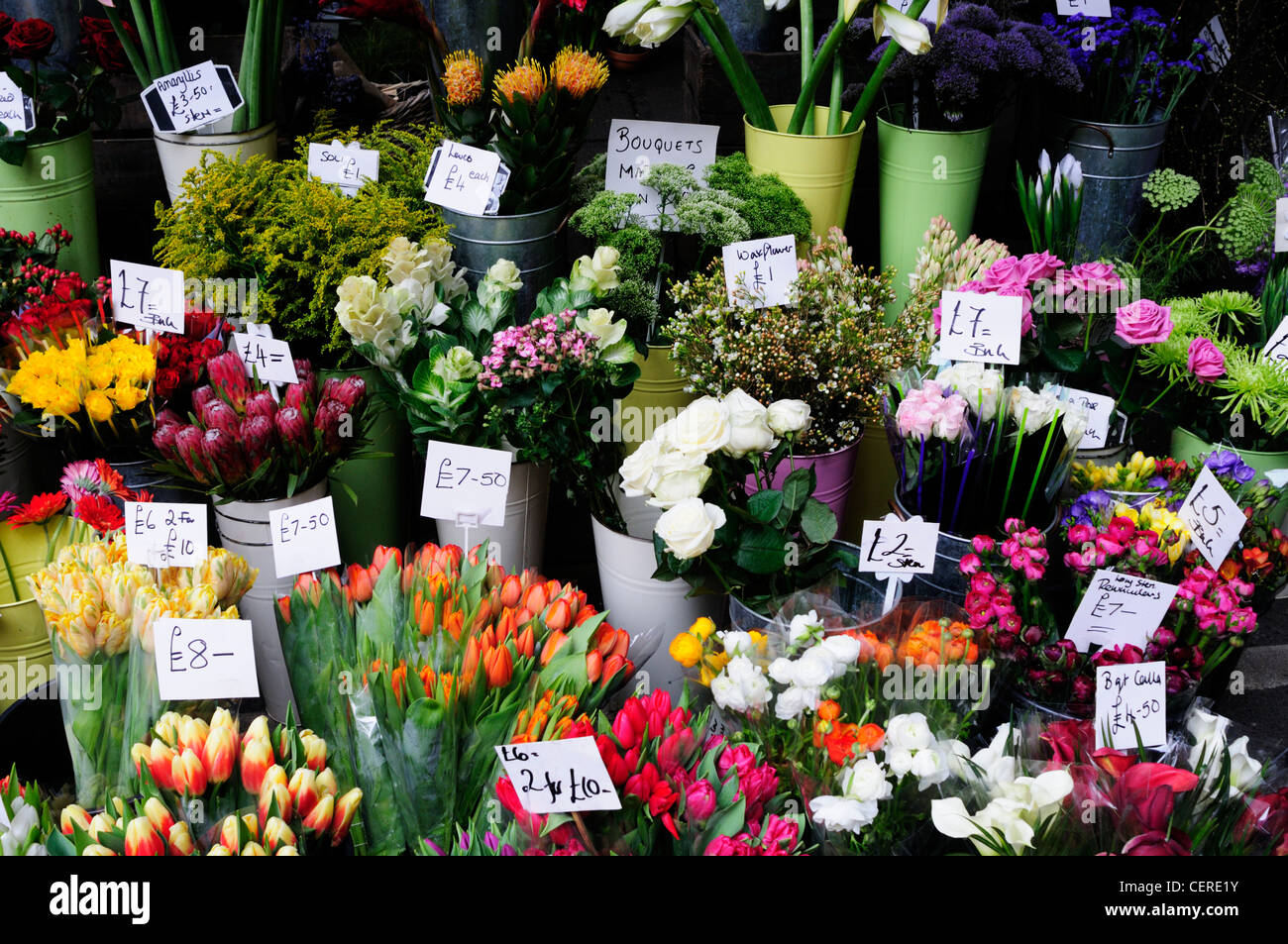 Fleurs à vendre d'un fleuriste stand à Borough Market. Banque D'Images