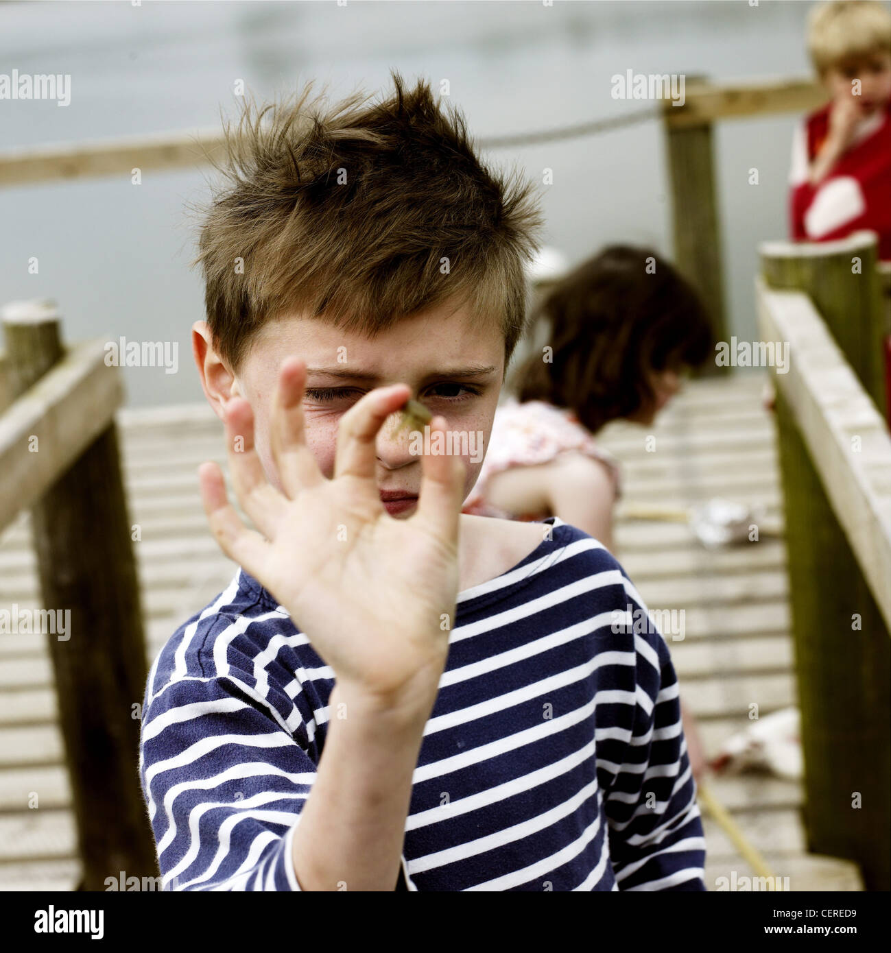 Garçon avec les cheveux bruns vêtu de bleu et blanc rayé T shirt tenant un petit crabe, debout sur une jetée par la mer Banque D'Images