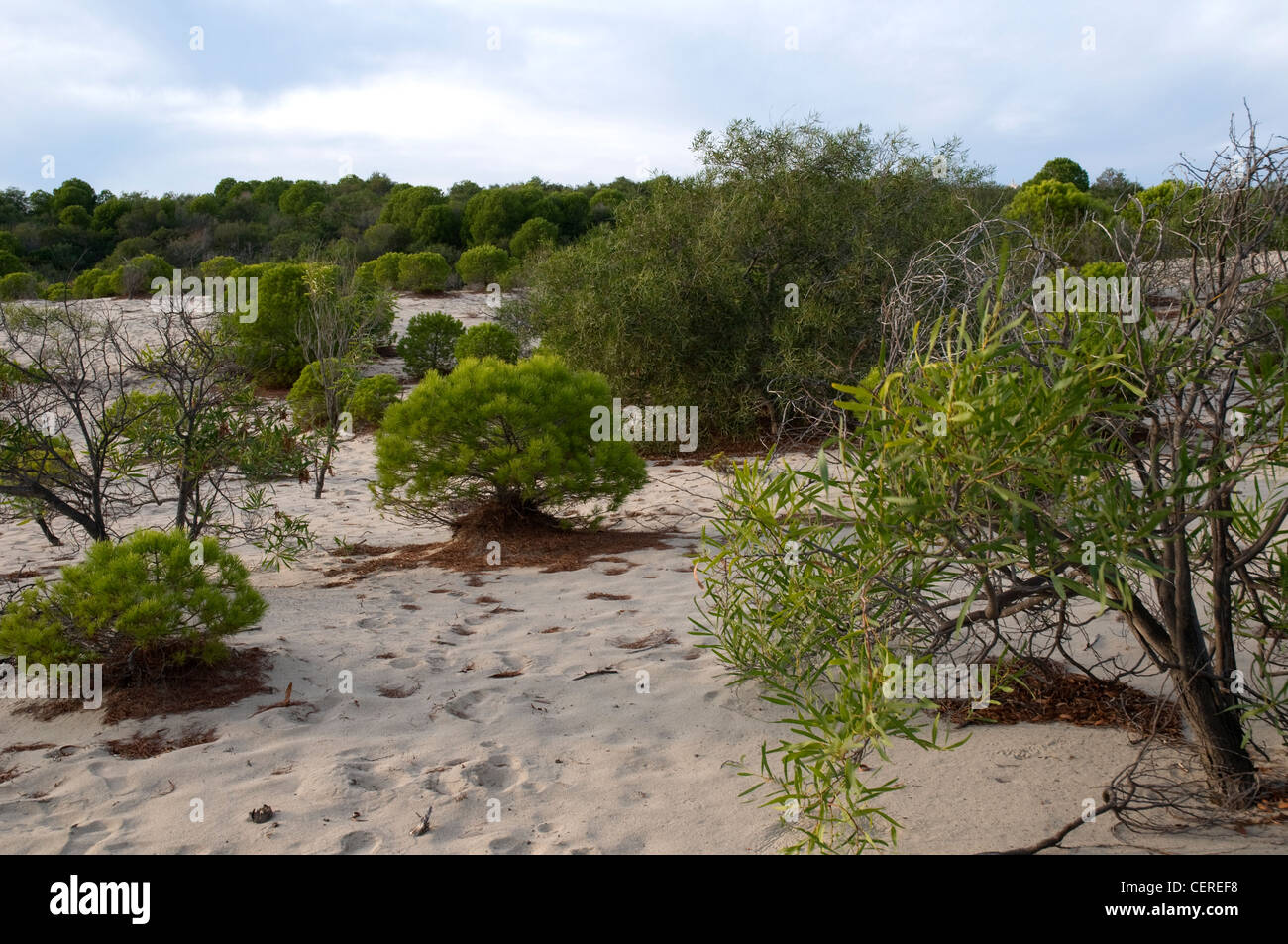 La plage de Patara, Antalya, Turquie Banque D'Images