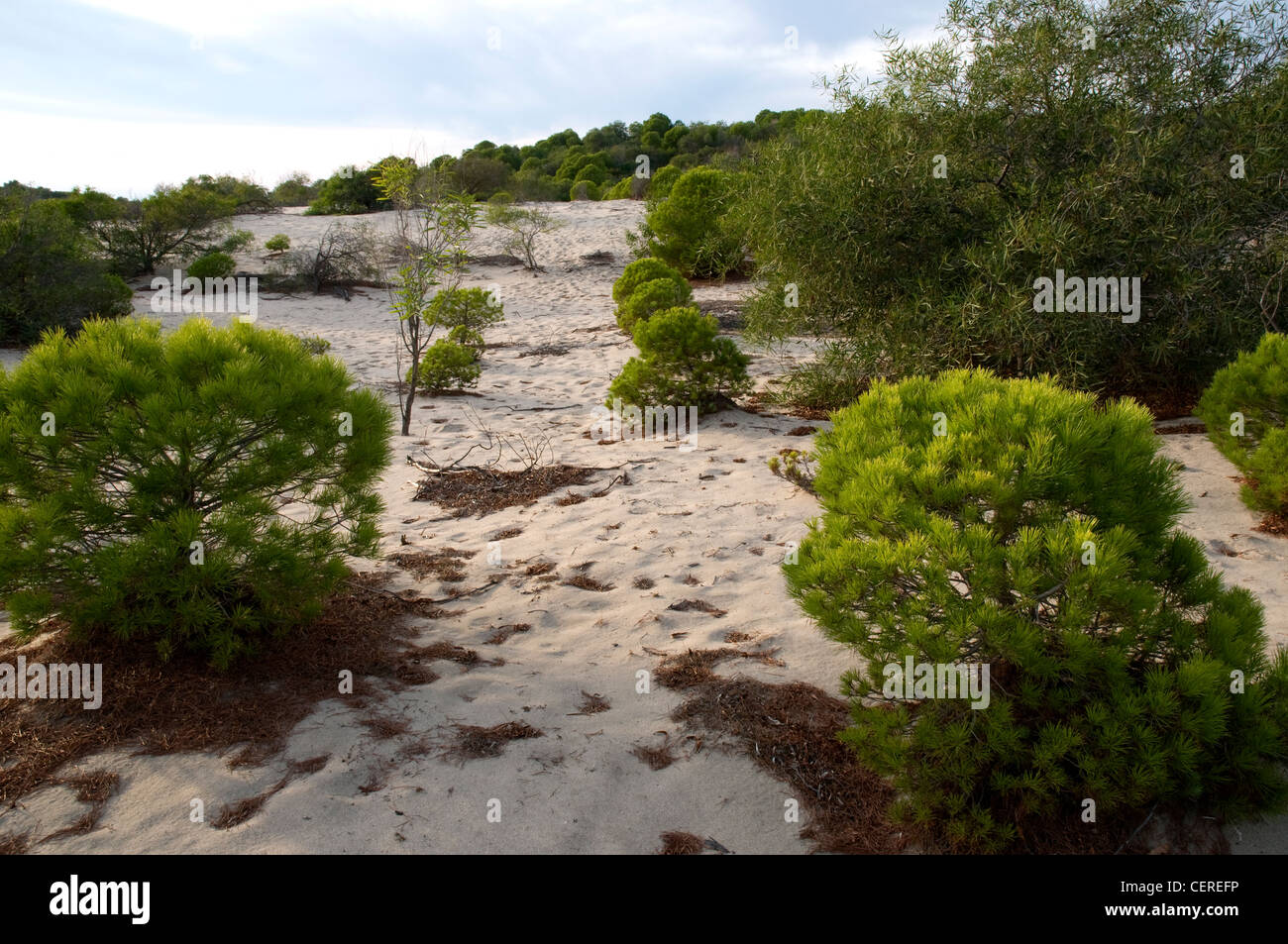 La plage de Patara, Antalya, Turquie Banque D'Images