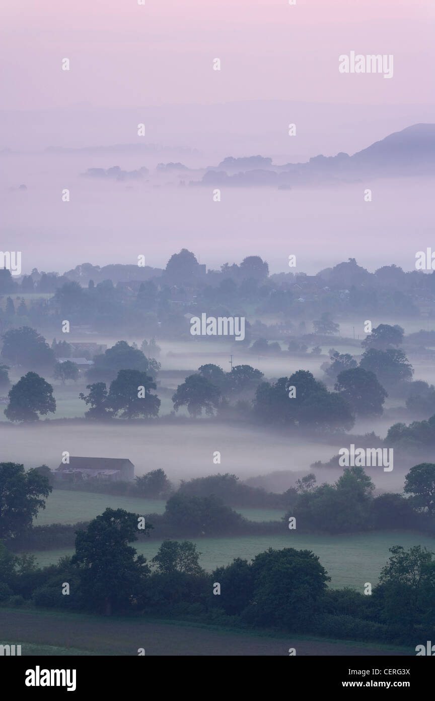 Un misty dans la vallée de Blackmore de Bulbarrow Hill, nr Okeford Fitzpaine, Dorset, England, UK Banque D'Images