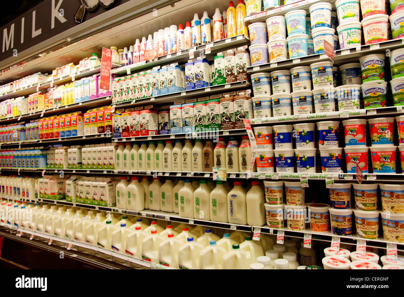 Produits laitiers en vente en supermarché Banque D'Images