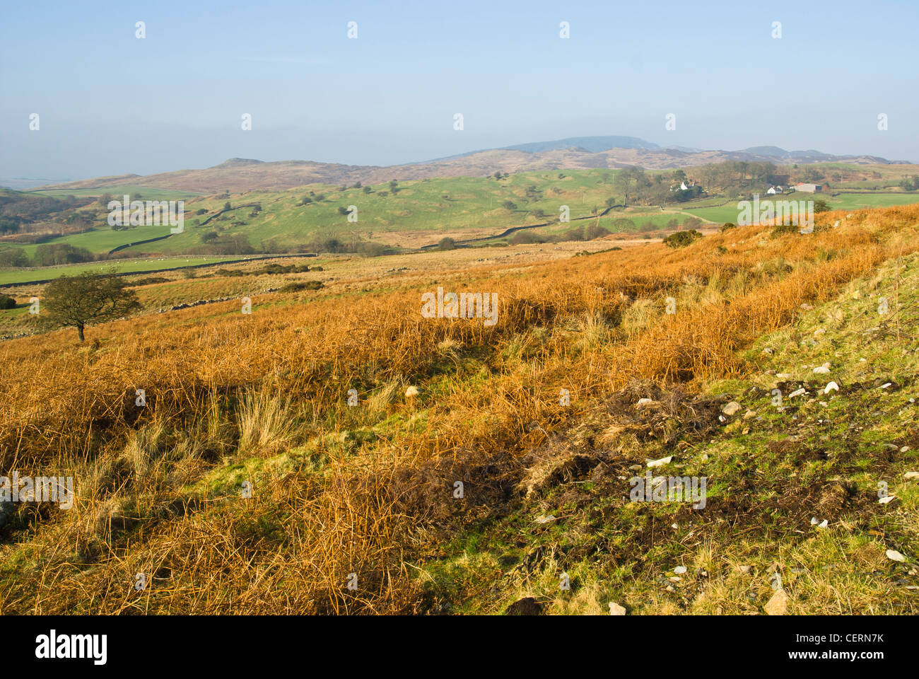 Paysage, Castramont Hill, bar de Barlay, Laghead ferme, Galloway forrest park, Banque D'Images