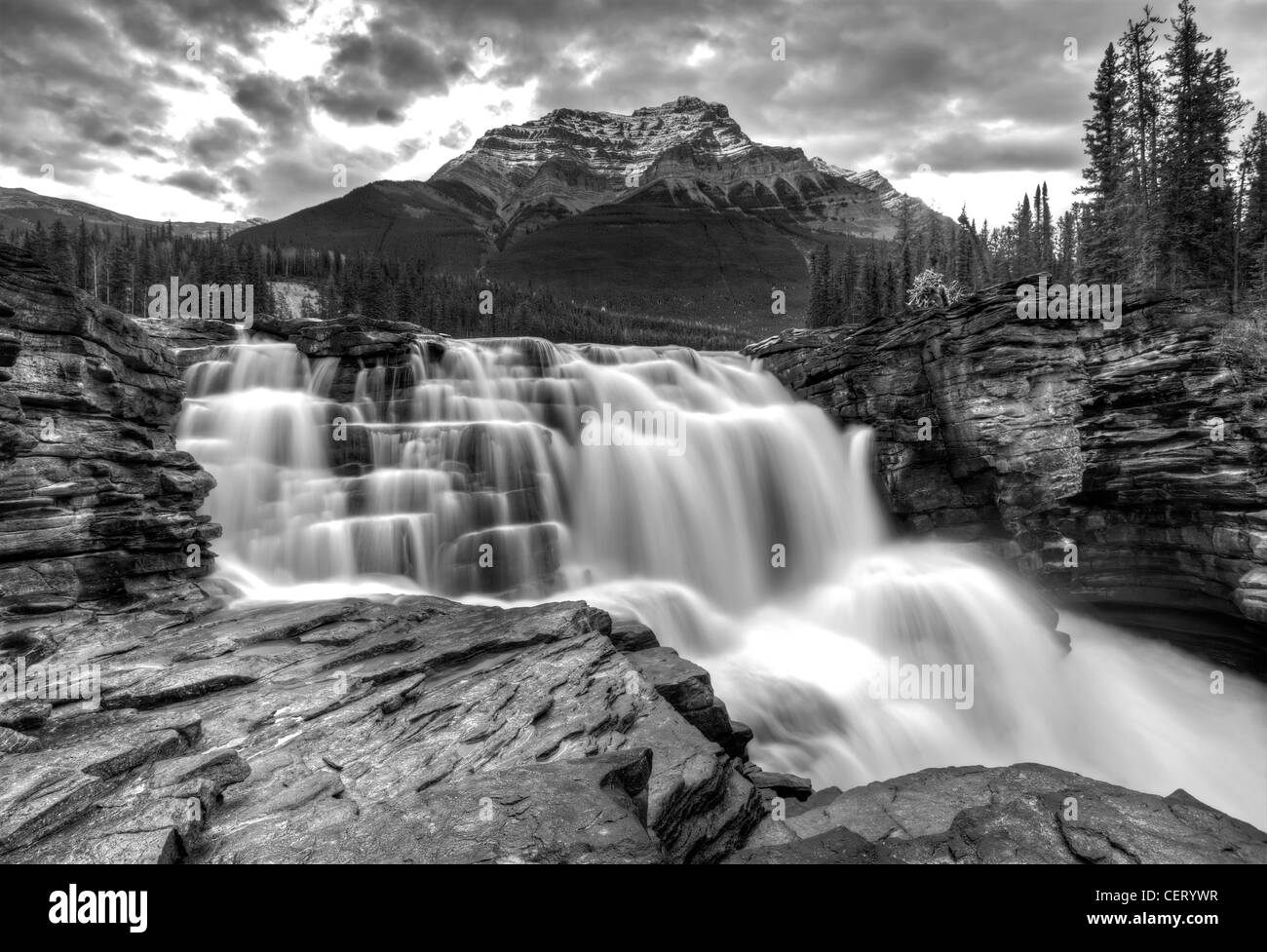 Cascade de la rivière Athabasca en Alberta Canada et le débit de l'eau brouillée Banque D'Images