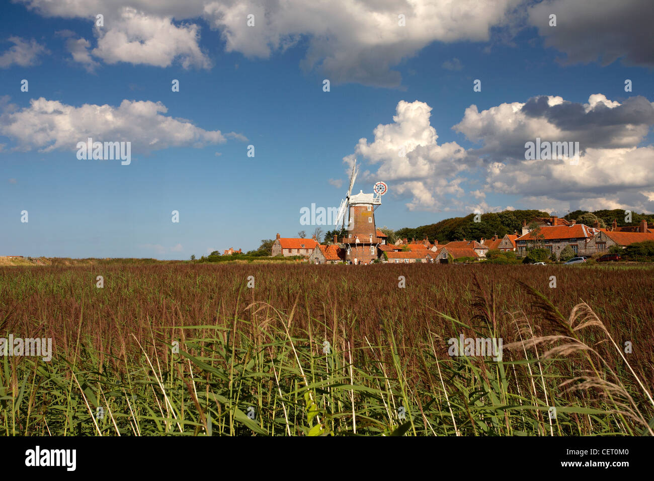 Une vue de les roselières à Claj moulin sur un jour d'été. Banque D'Images