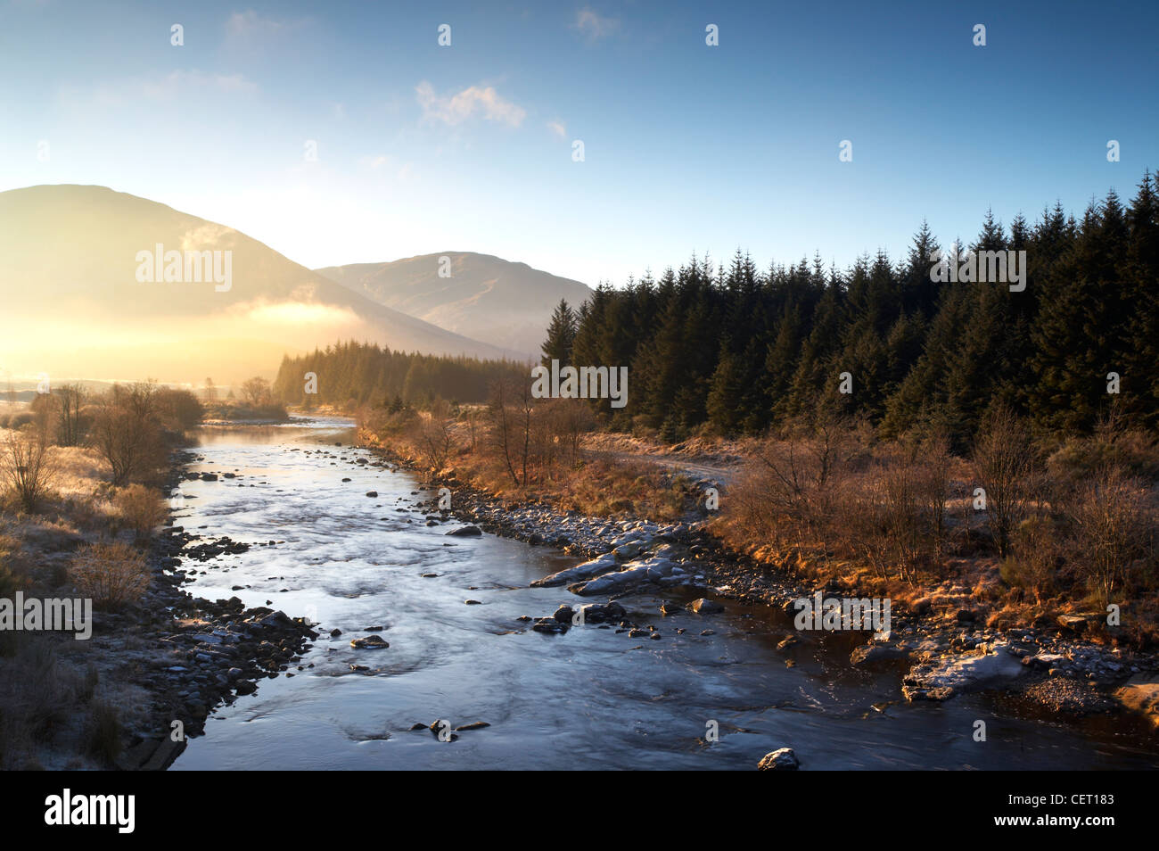 Un misty sur une rivière et des bois de pin dans les Highlands écossais. Banque D'Images