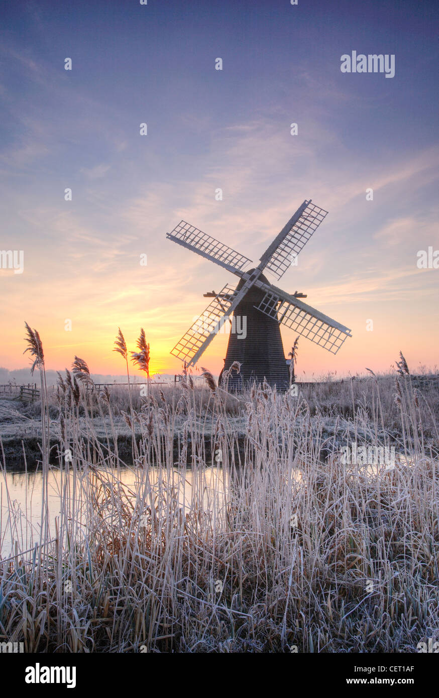 Un lever de soleil brumeux de roseaux et d'Herringfleet givré de givre de moulin dans le Suffolk. Banque D'Images