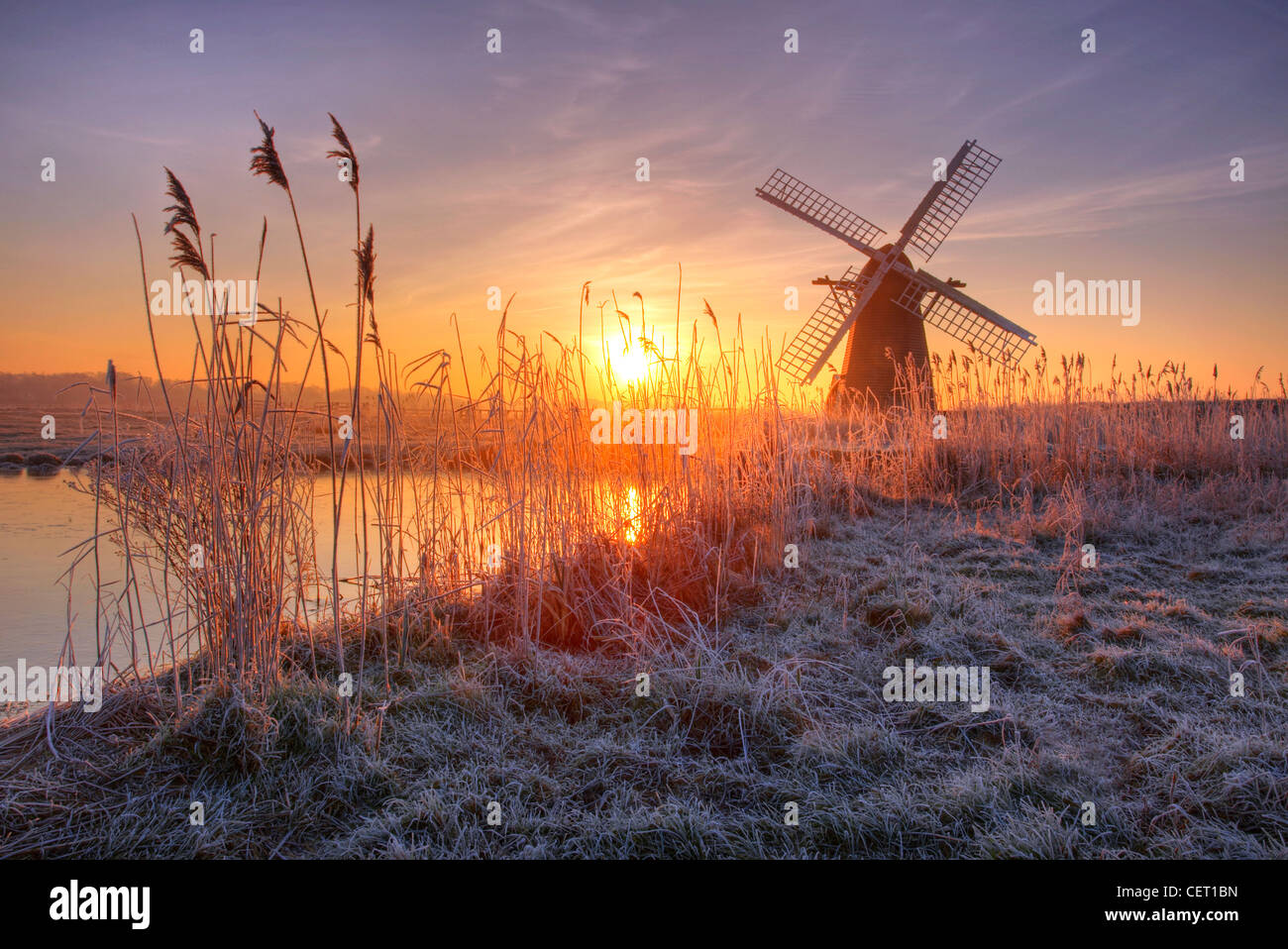 Un lever de soleil brumeux de roseaux et d'Herringfleet givré de givre de moulin dans le Suffolk. Banque D'Images