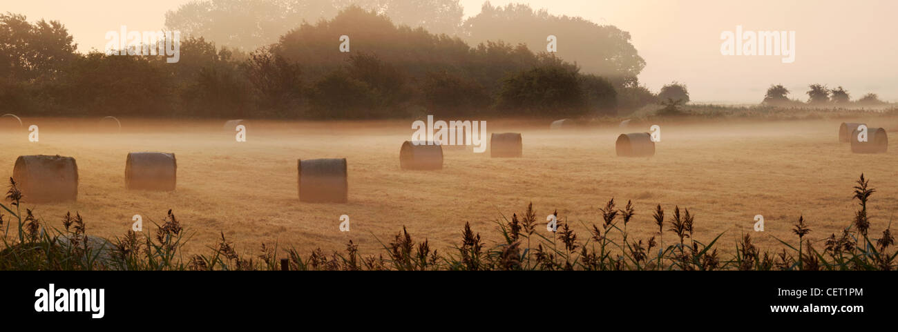 Un misty view de bottes de foin dans le Norfolk. Banque D'Images