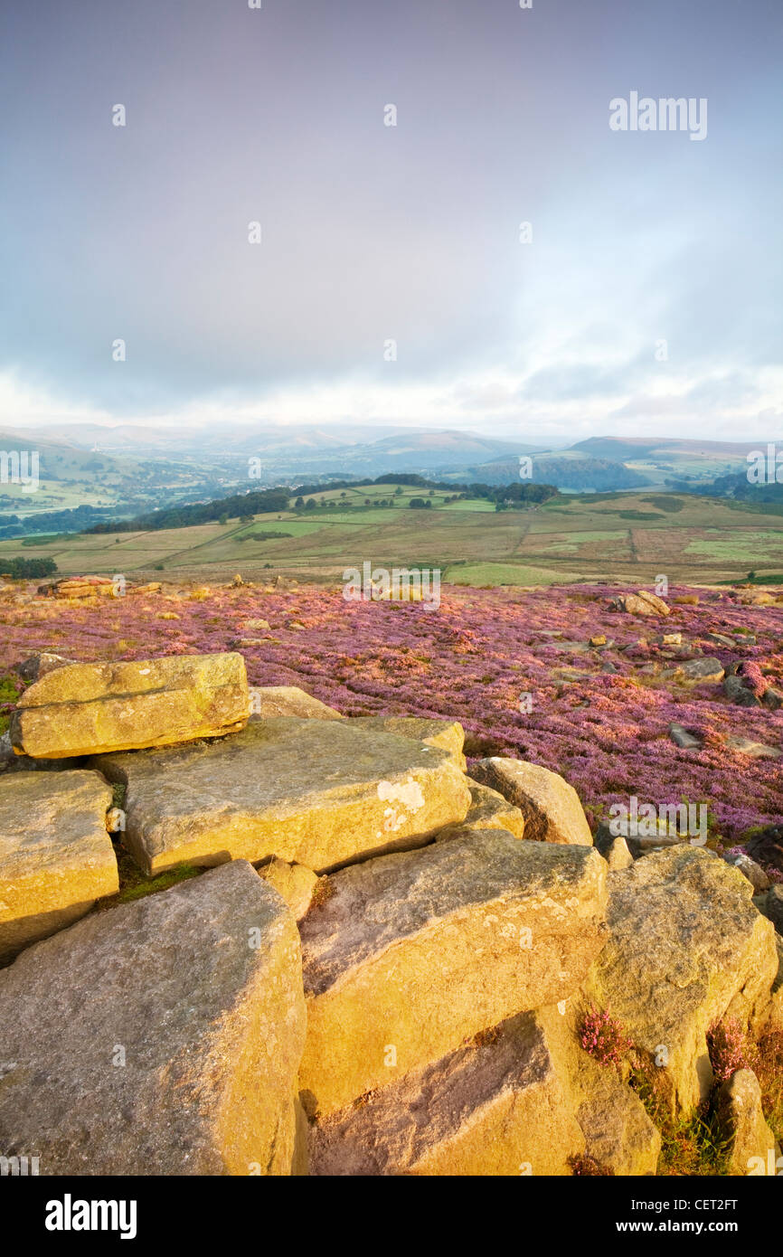 Une vue sur heather du parc national de Peak District de Owler Tor. Banque D'Images