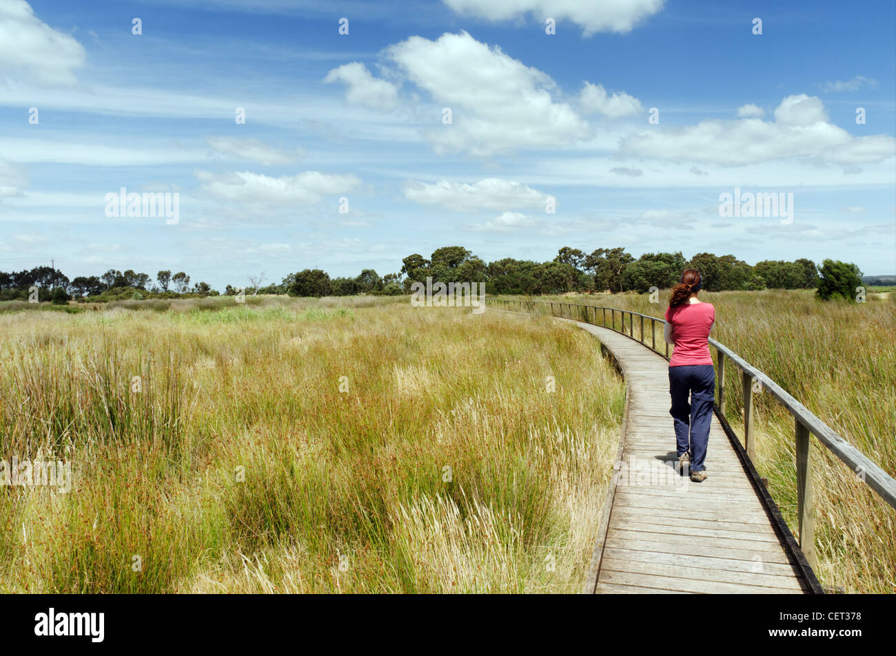 Une jeune femme traversant les champs sur un trottoir de bois Banque D'Images