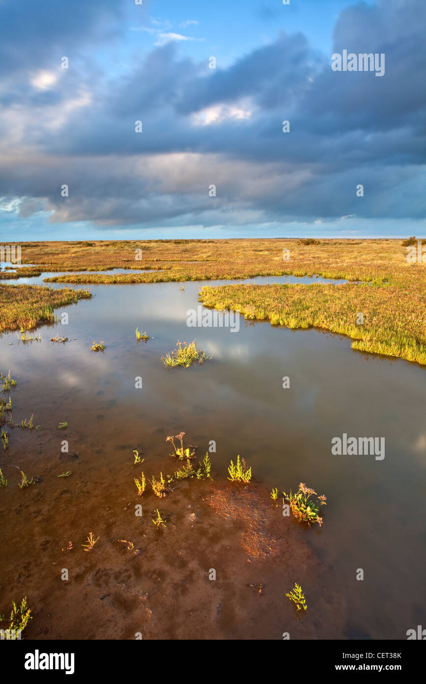 Les marais salés de Stiffkey sur la côte nord du comté de Norfolk. Banque D'Images