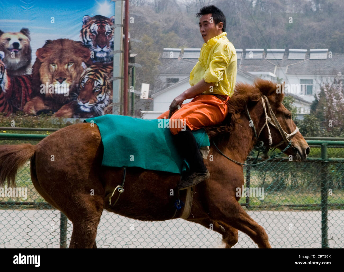 Acrobates chinois à cheval vers l'arrière. Banque D'Images