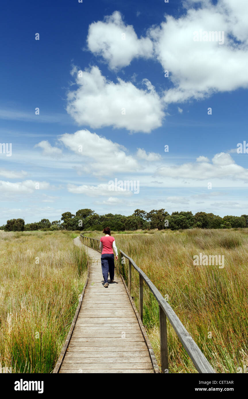 Une jeune femme traversant les champs sur un trottoir de bois Banque D'Images