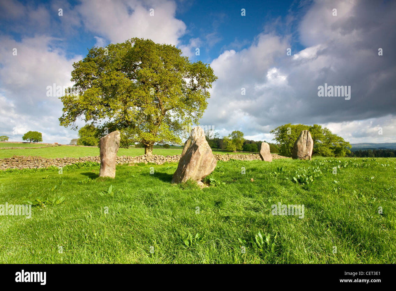 Neuf pierres près de l'âge du bronze, un cercle de pierre sur Harthill Moor. Il n'y a que 4 pierres restantes ce qui fut autrefois un 45 pied ci Banque D'Images