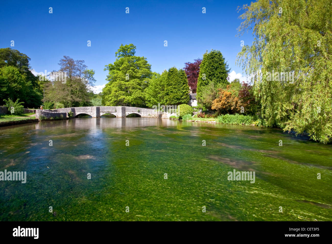 La faible médiévale voûtée Sheepwash Pont sur la rivière Wye à Ashford dans l'eau dans le parc national de Peak District. Banque D'Images