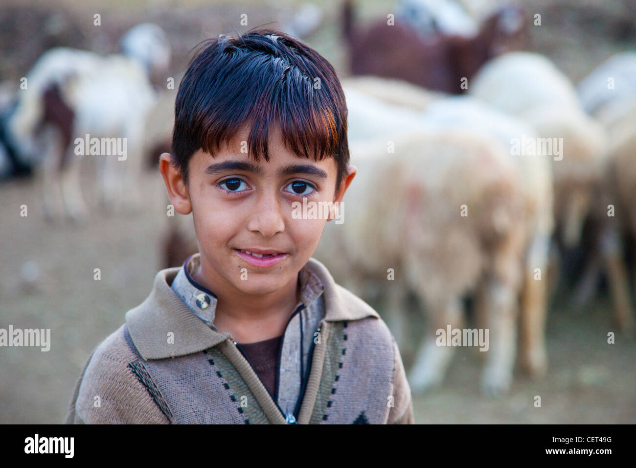 Berger garçon à Islamabad, Pakistan Banque D'Images