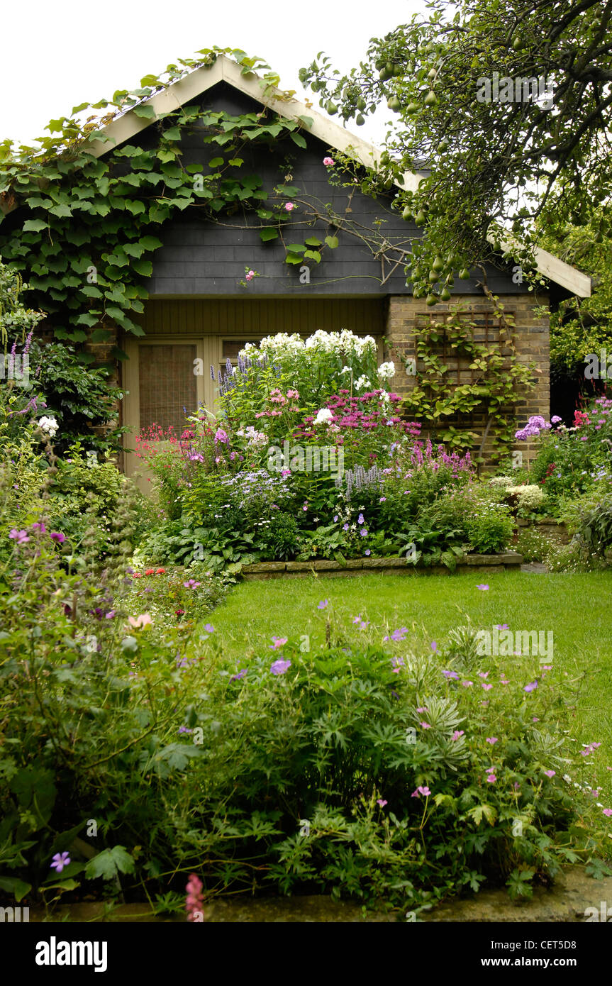 Jardin victorien moderne vue détaillée de la remise de jardin Vitis coignetiae de grimper sur le toit, des branches de poirier et divers Banque D'Images