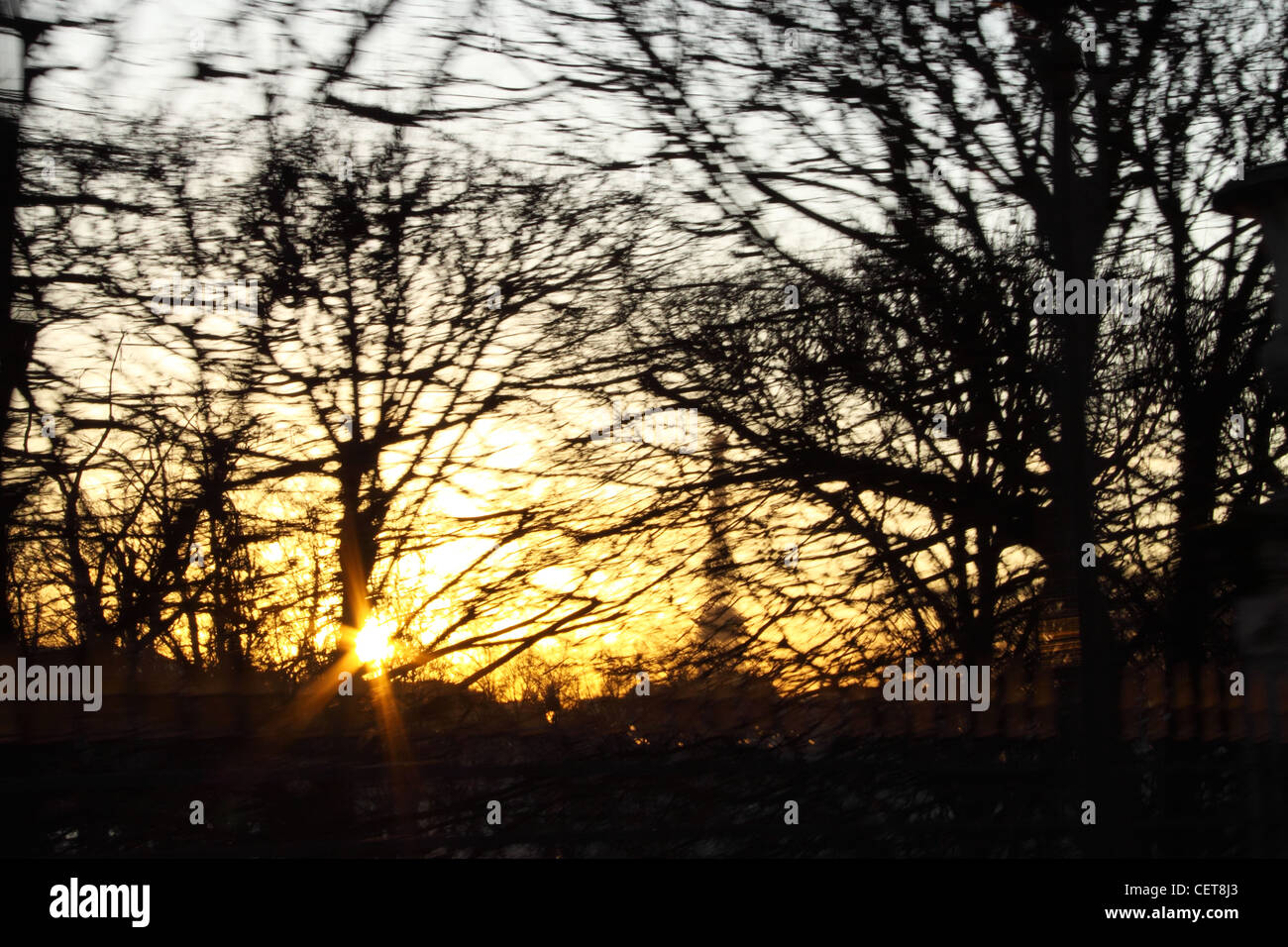 Vue de la Tour Eiffel à travers des arbres au coucher du soleil, Paris, Ile de France, France, Europe Banque D'Images