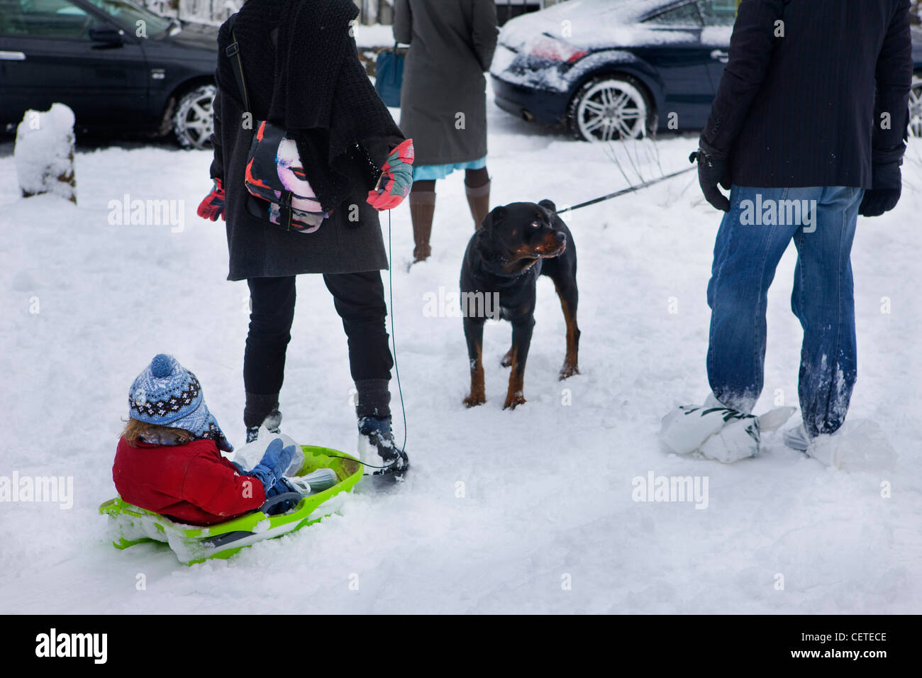 Enfant le chien de traîneau se réunit à Highgate, Londres Du Nord couvert de neige Banque D'Images
