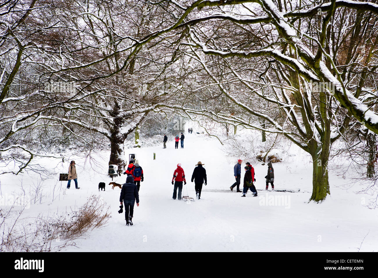 Hampstead Heath, Londres, Angleterre Banque D'Images