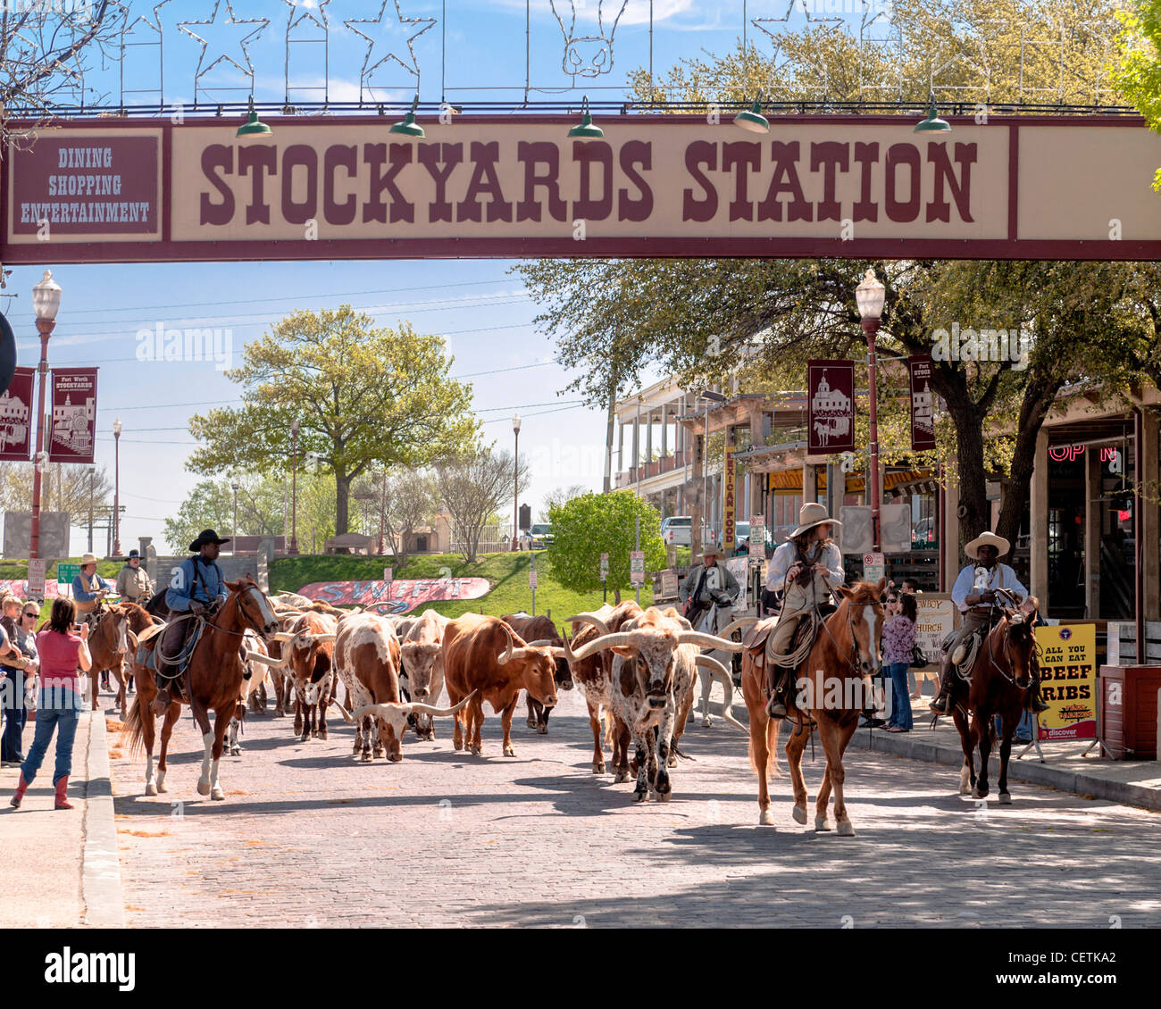 La station de bestiaux de bétail, Fort Worth Banque D'Images