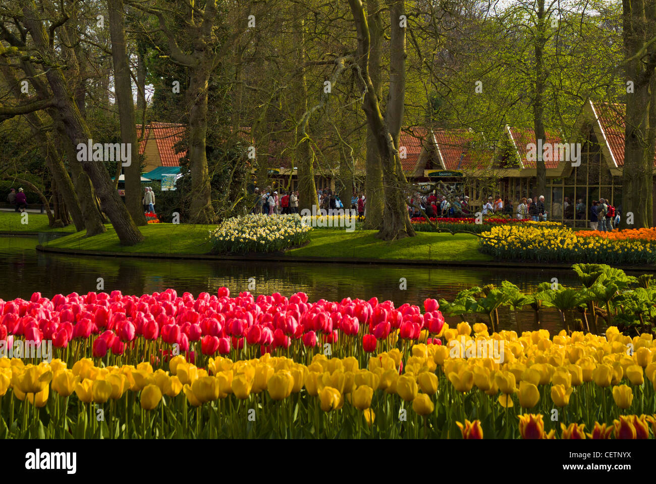 De nombreuses couleurs de tulipes autour de l'entrée pour les jardins de Keukenhof Lisse Hollande Pays-bas eu Europe Banque D'Images