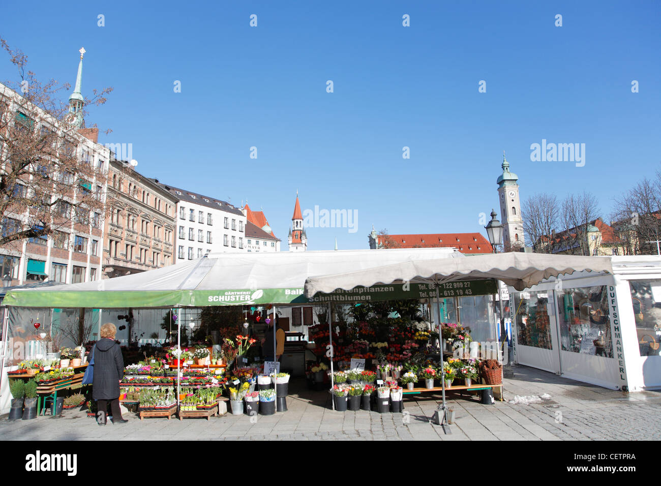 Marché Viktualienmarkt, Munich, Bavière, Allemagne Banque D'Images