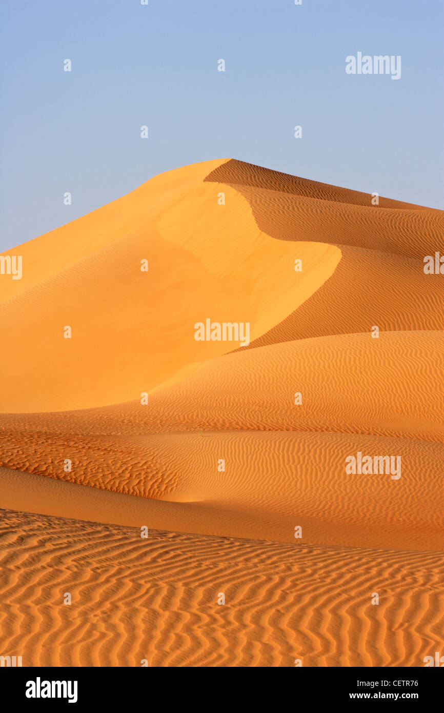 Un paysage de dunes dans le Rub Al Khali ou quart vide. Les stocks de l'Oman, l'Arabie saoudite, les Émirats arabes unis et le Yémen, c'est la plus grande san Banque D'Images