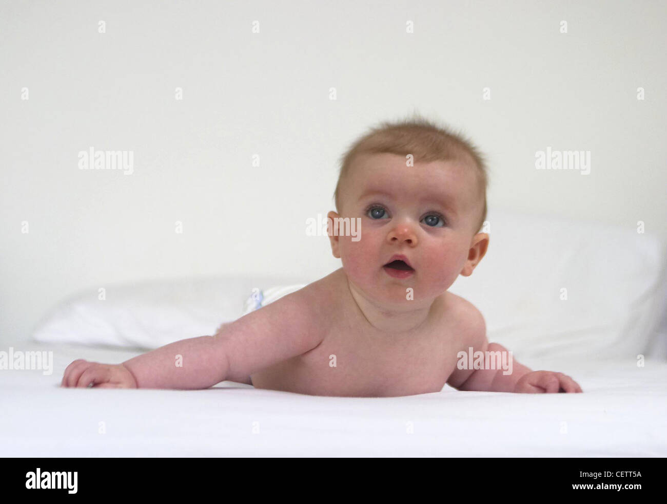 Baby spiky hair Banque de photographies et d'images à haute résolution -  Alamy